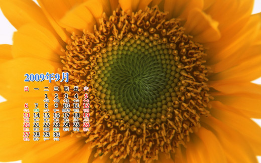 476319 (a): :1440x900